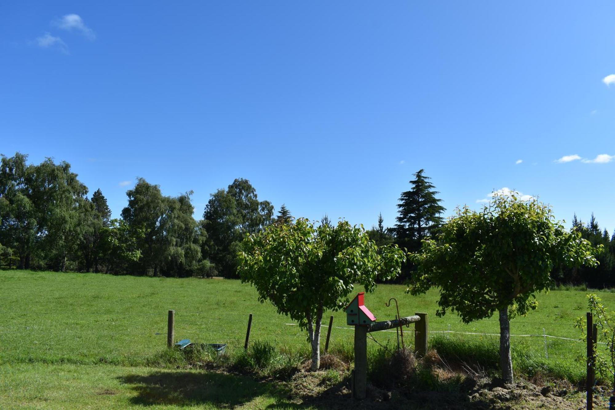 Bnb On Bakers Waimate Eksteriør billede